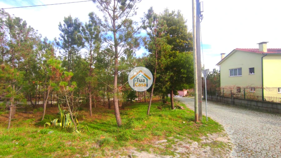 Terreno para Venda em Calde Foto 14