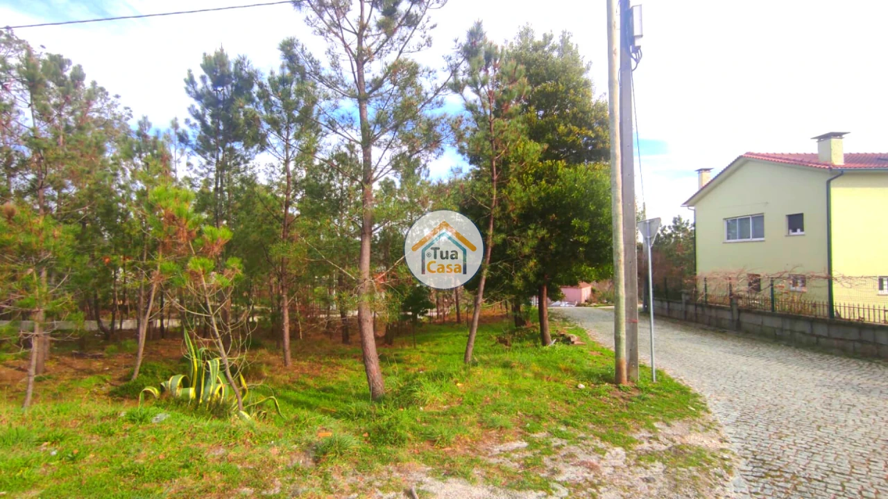 Terreno para Venda em Calde Foto 14
