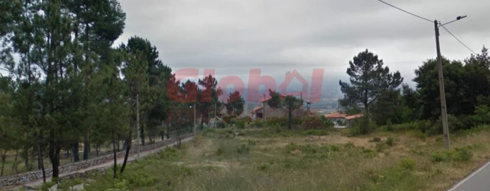 Terreno para Venda em Tavares (Chãs, Várzea e Travanca)