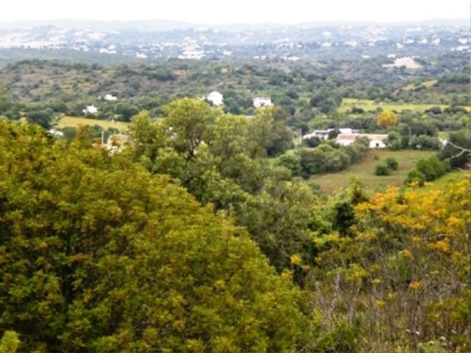Terreno para Venda em Faro (Sé e São Pedro) Foto 3
