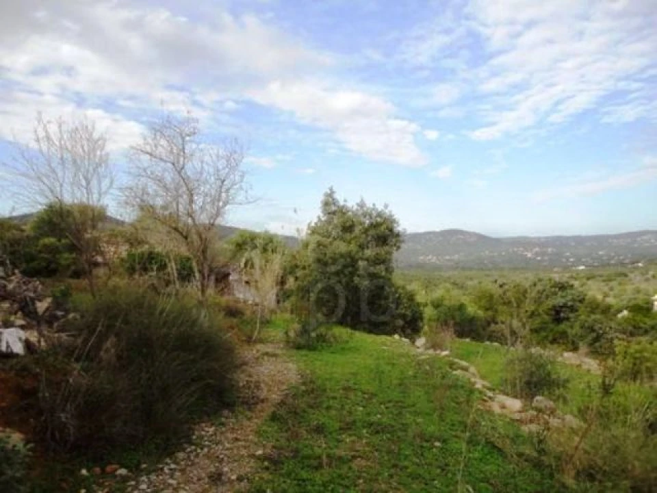 Terreno para Venda em Faro (Sé e São Pedro) Foto 2