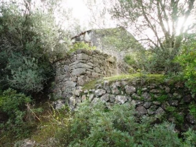 Negócio para Venda em Faro (Sé e São Pedro) Foto 6