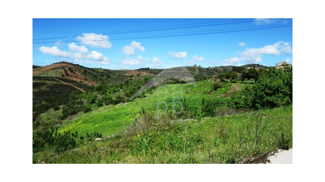 Terreno para Venda em Cachopo Foto 3
