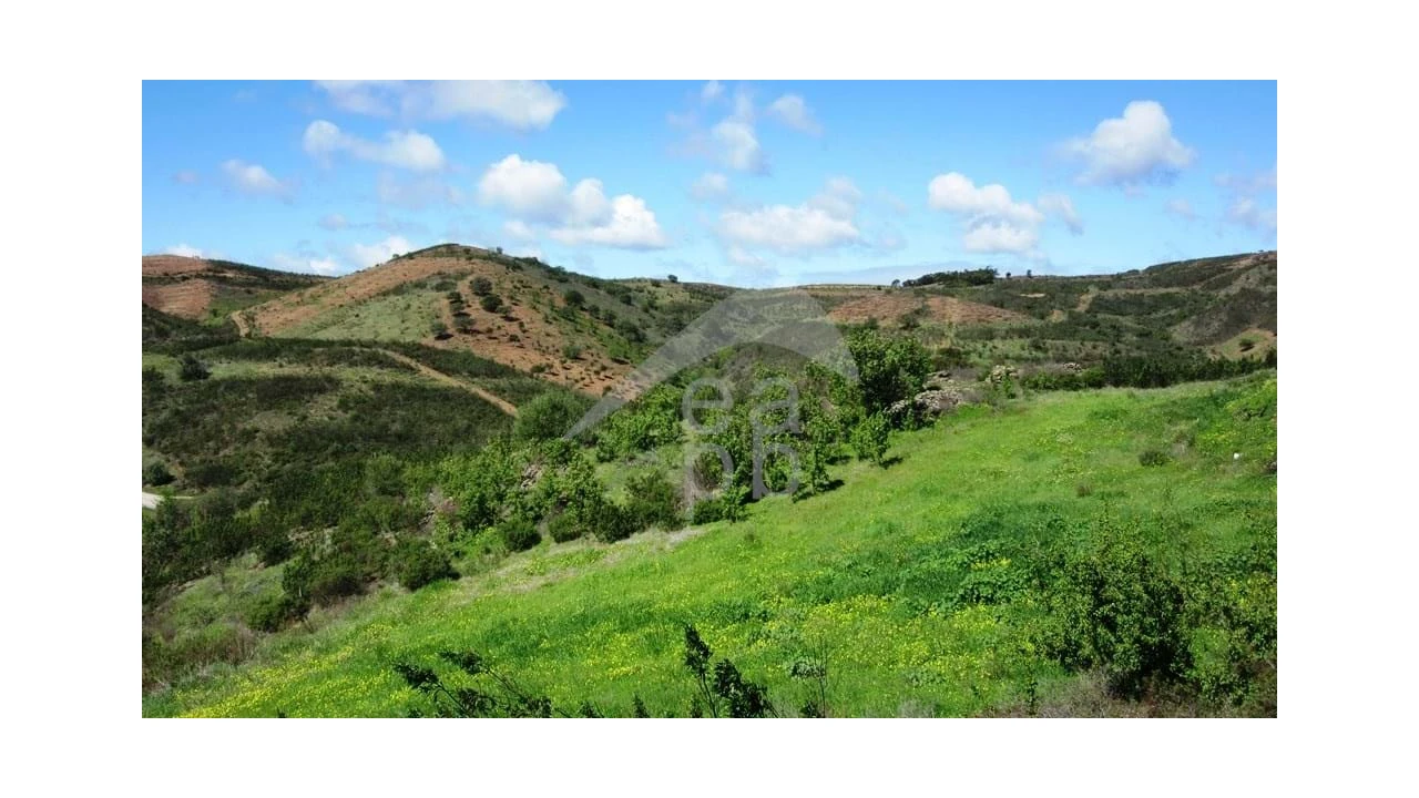 Terreno para Venda em Cachopo Foto 1