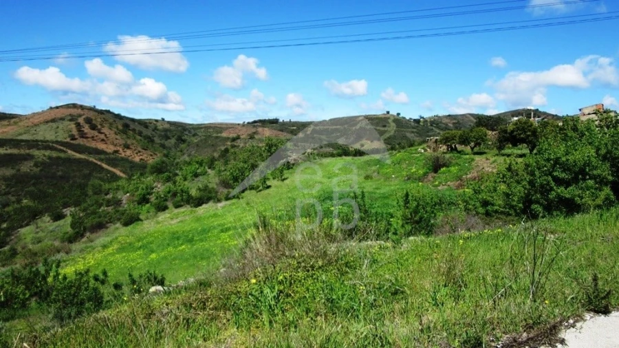 Terreno para Venda em Cachopo Foto 3