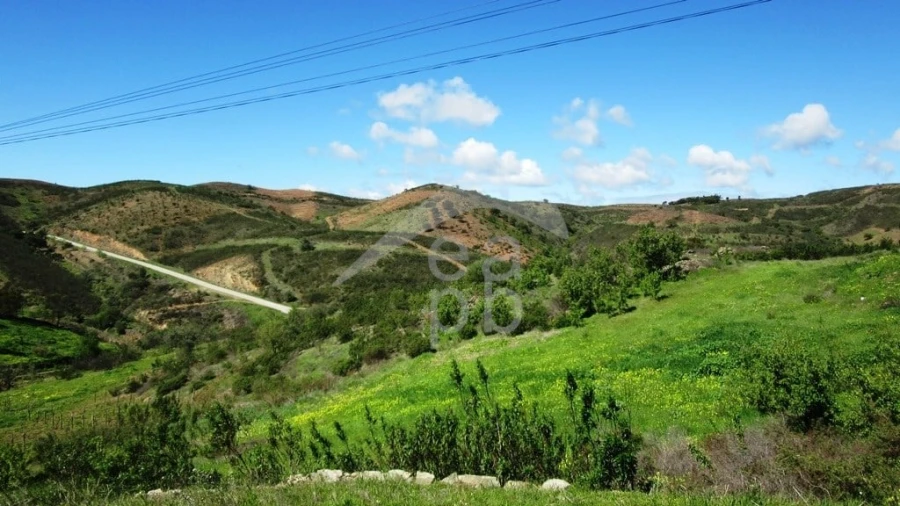 Terreno para Venda em Cachopo Foto 6