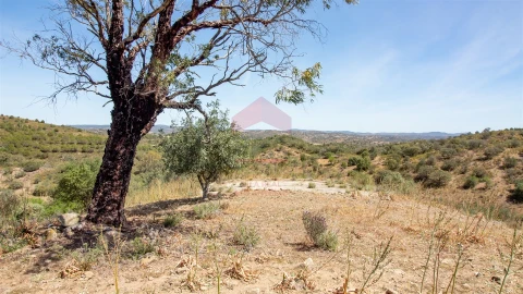 Terreno para Venda em Alcoutim e Pereiro