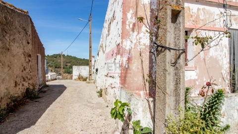 Terreno para Venda em Alcoutim e Pereiro