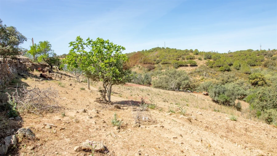 Terreno para Venda em Alcoutim e Pereiro Foto 10
