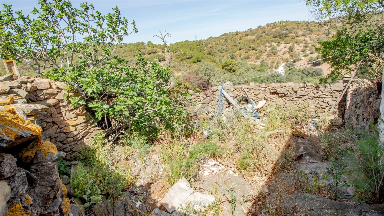 Terreno para Venda em Alcoutim e Pereiro Foto 9