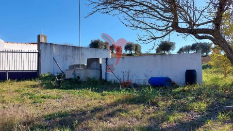 Terreno para Venda em Trigaches e São Brissos