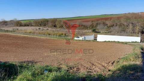 Terreno para Venda em Trigaches e São Brissos