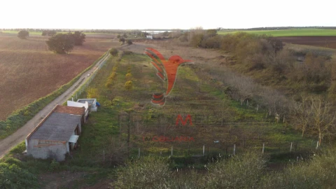 Terreno para Venda em Trigaches e São Brissos