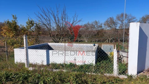 Terreno para Venda em Trigaches e São Brissos