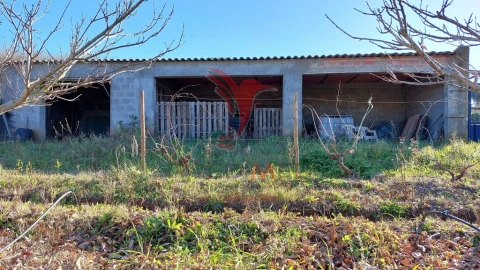 Terreno para Venda em Trigaches e São Brissos