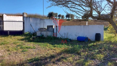 Terreno para Venda em Trigaches e São Brissos