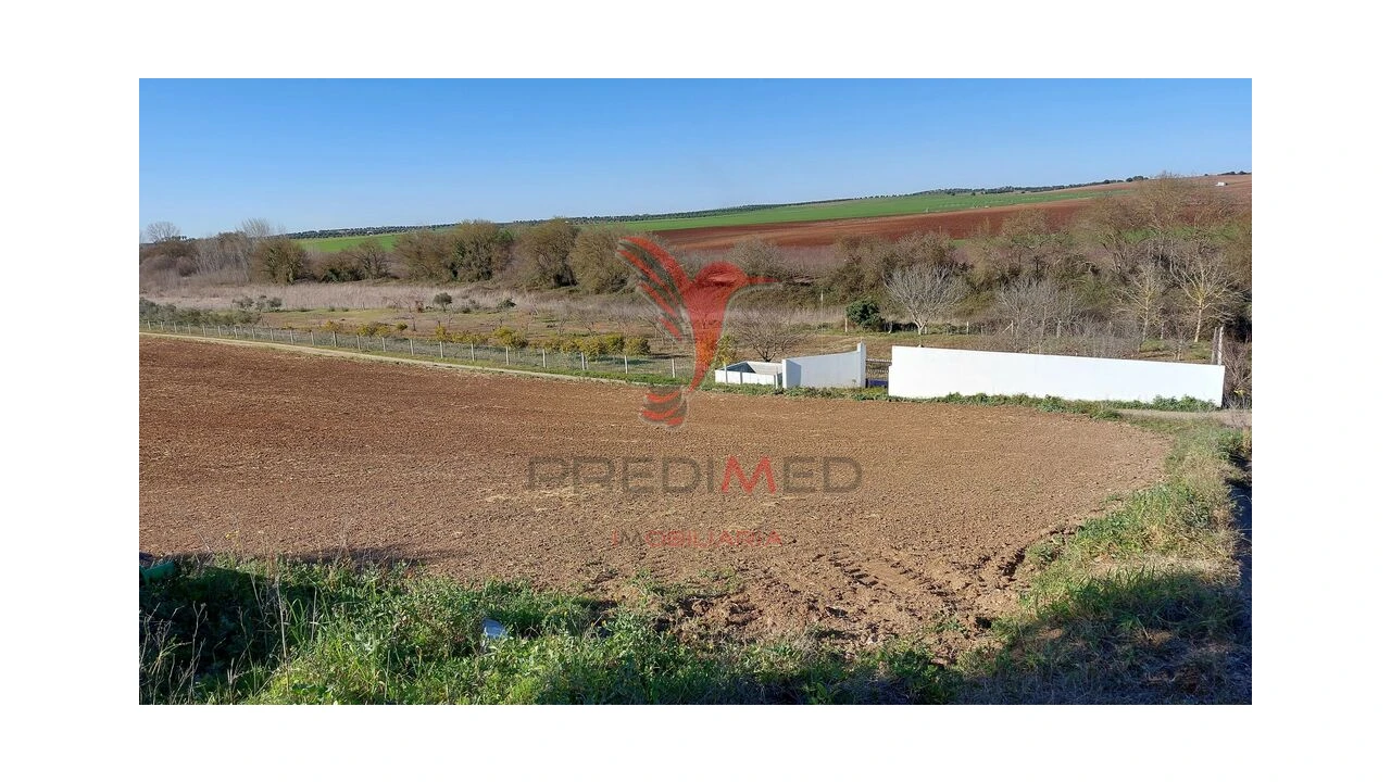 Terreno para Venda em Trigaches e São Brissos Foto 2