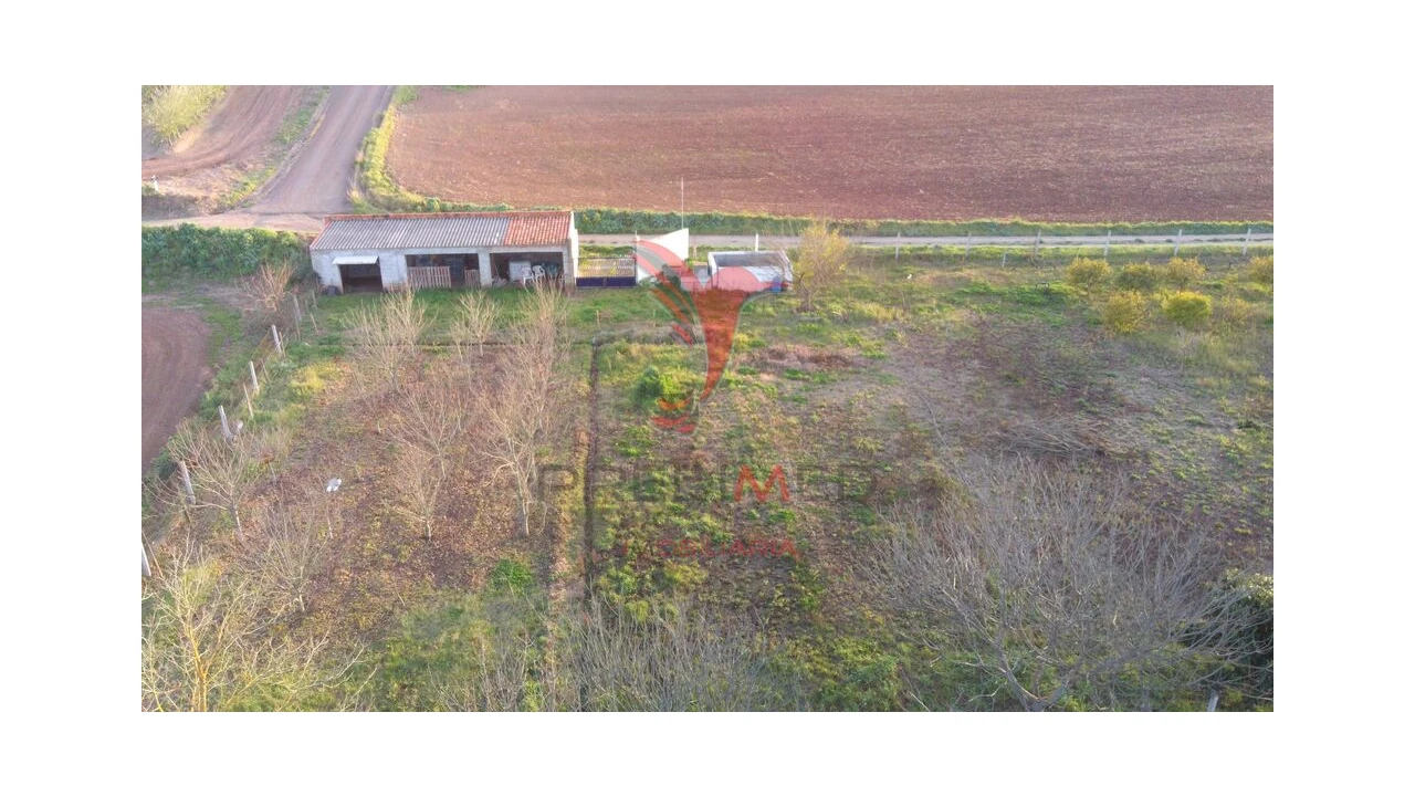 Terreno para Venda em Trigaches e São Brissos Foto 12