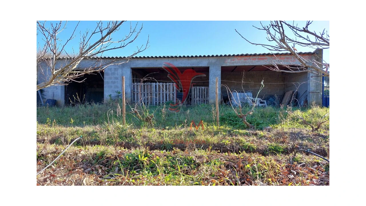 Terreno para Venda em Trigaches e São Brissos Foto 10