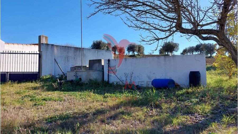 Terreno para Venda em Trigaches e São Brissos Foto 9