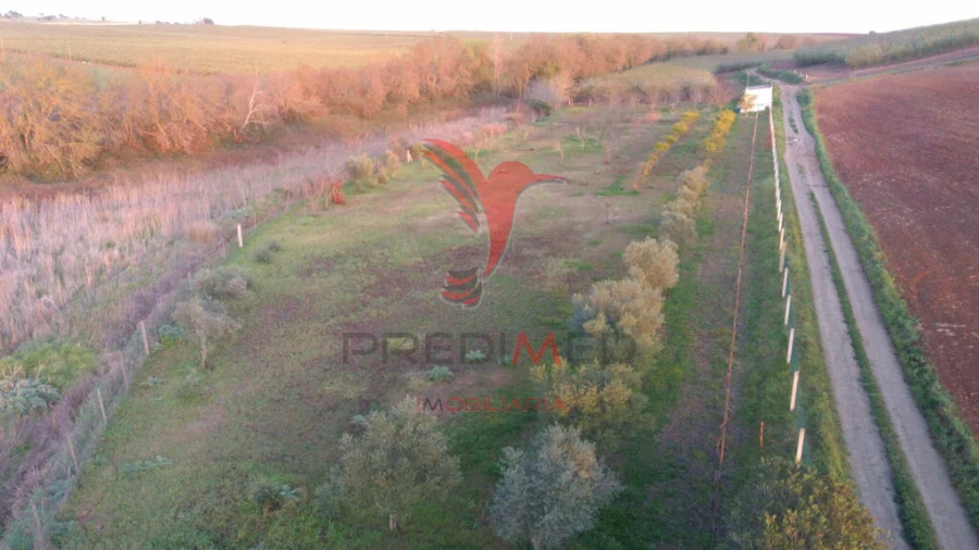Terreno para Venda em Trigaches e São Brissos Foto 16