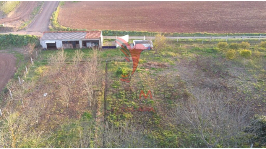 Terreno para Venda em Trigaches e São Brissos Foto 12