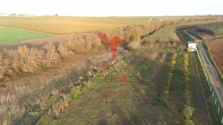Terreno para Venda em Trigaches e São Brissos Foto 14