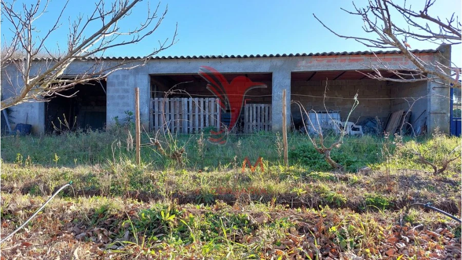 Terreno para Venda em Trigaches e São Brissos Foto 10