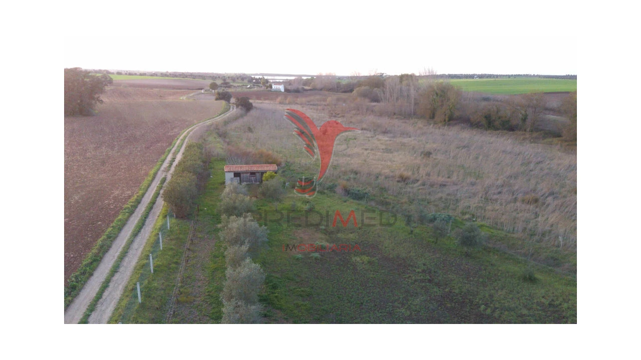 Terreno para Venda em Trigaches e São Brissos Foto 15