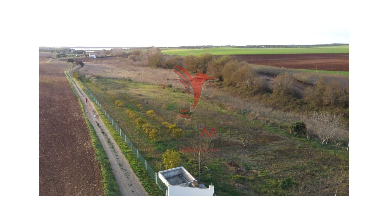 Terreno para Venda em Trigaches e São Brissos Foto 11