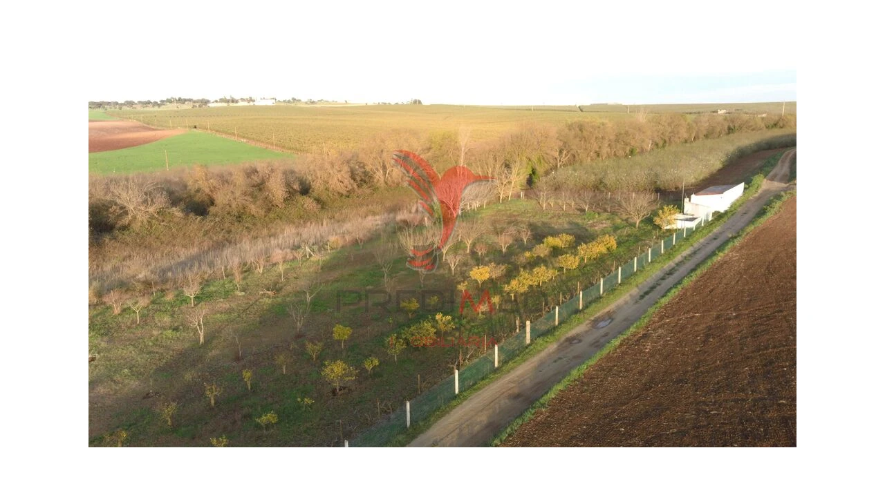 Terreno para Venda em Trigaches e São Brissos Foto 13