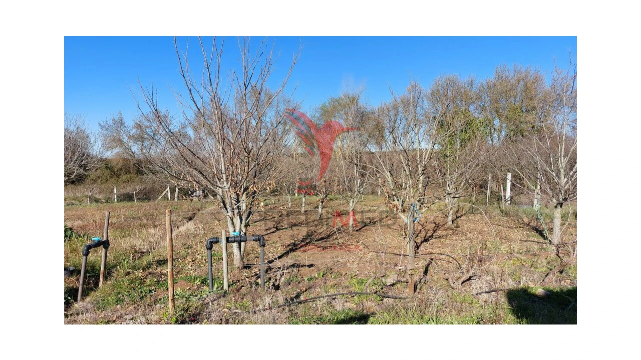 Terreno para Venda em Trigaches e São Brissos Foto 5