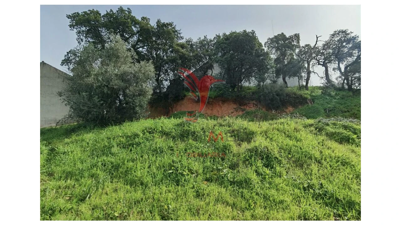 Terreno para Venda em Alcanena e Vila Moreira Foto 10