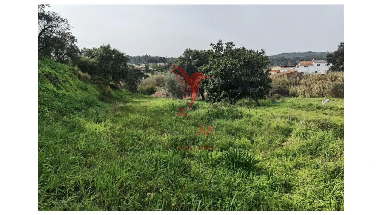 Terreno para Venda em Alcanena e Vila Moreira Foto 14