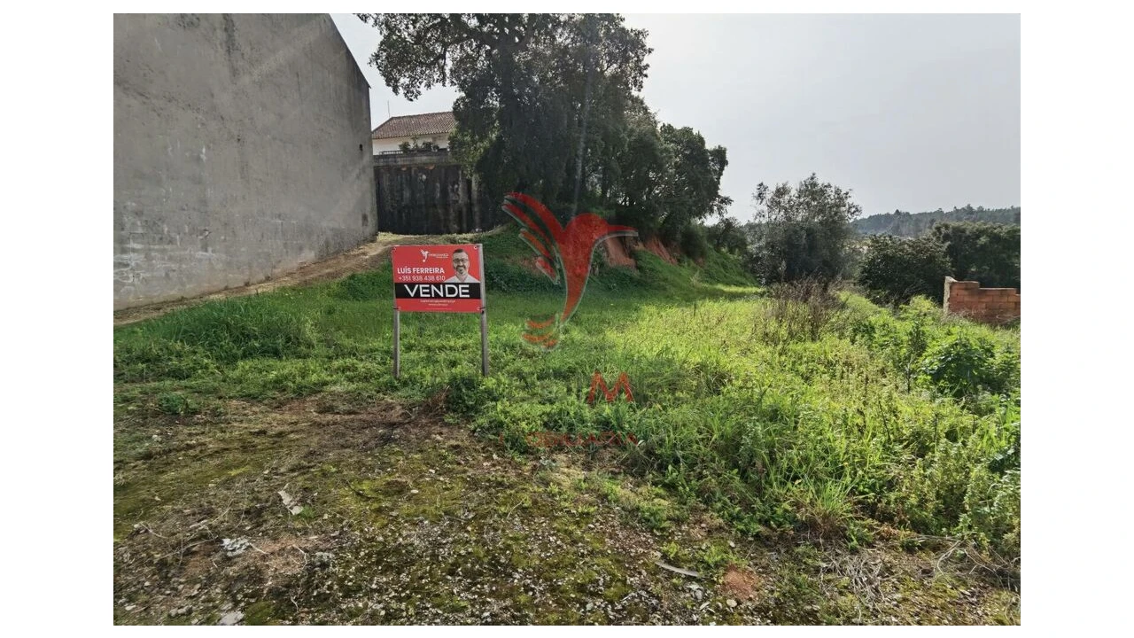 Terreno para Venda em Alcanena e Vila Moreira Foto 8