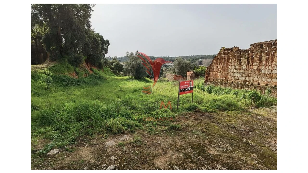 Terreno para Venda em Alcanena e Vila Moreira Foto 3