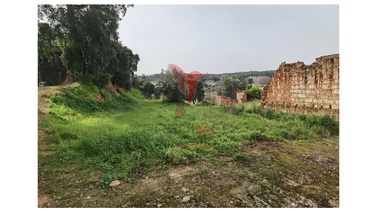 Terreno para Venda em Alcanena e Vila Moreira Foto 16