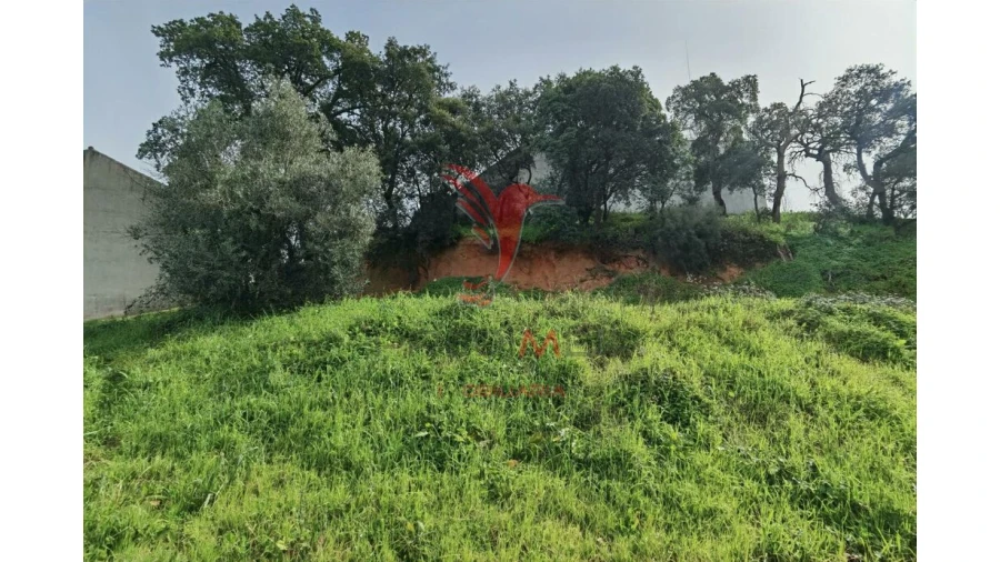 Terreno para Venda em Alcanena e Vila Moreira Foto 10