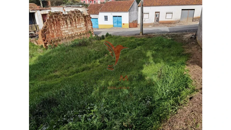 Terreno para Venda em Alcanena e Vila Moreira Foto 7