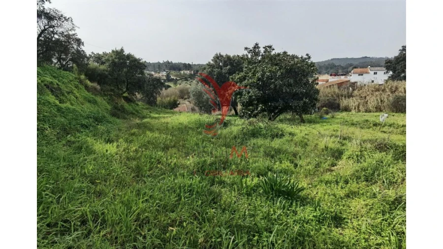 Terreno para Venda em Alcanena e Vila Moreira Foto 14