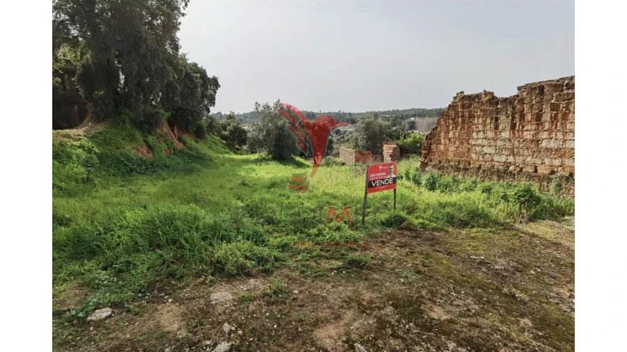 Terreno para Venda em Alcanena e Vila Moreira Foto 3