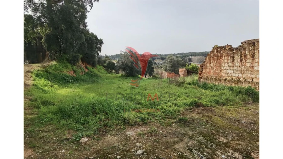 Terreno para Venda em Alcanena e Vila Moreira Foto 16