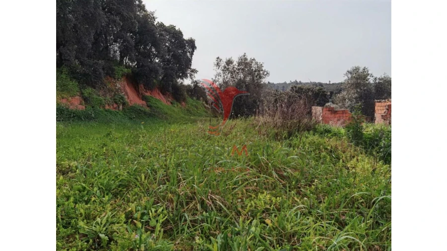 Terreno para Venda em Alcanena e Vila Moreira Foto 18