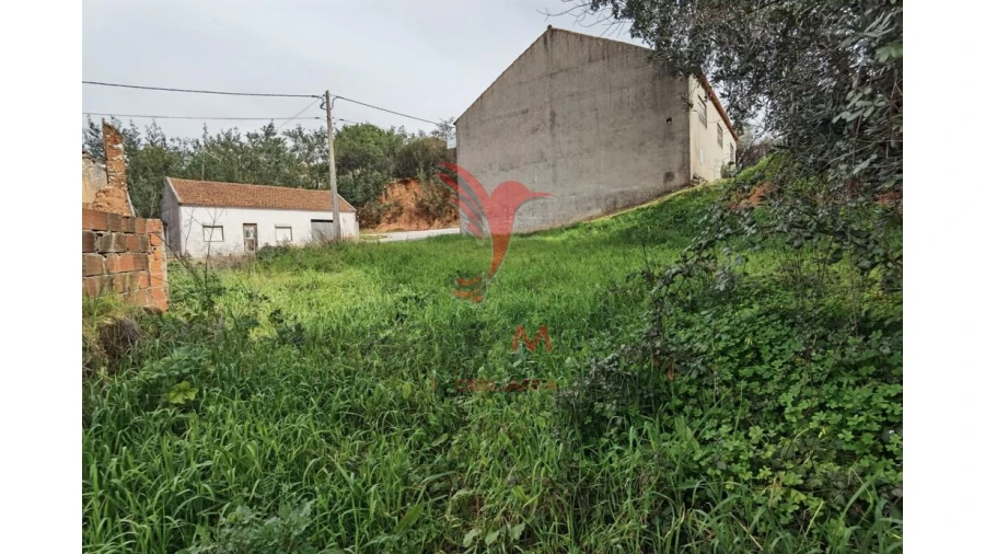 Terreno para Venda em Alcanena e Vila Moreira Foto 11