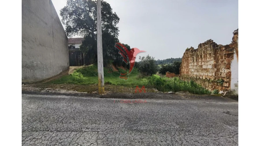Terreno para Venda em Alcanena e Vila Moreira Foto 1