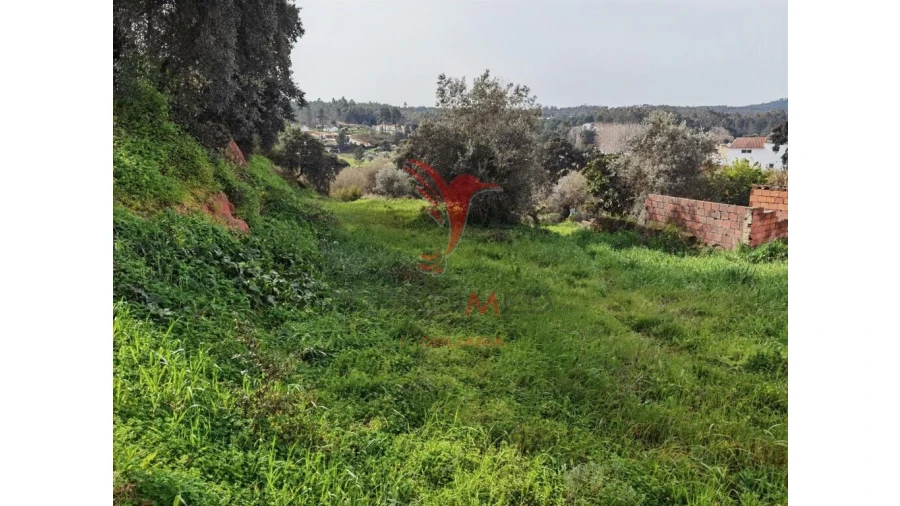 Terreno para Venda em Alcanena e Vila Moreira Foto 19