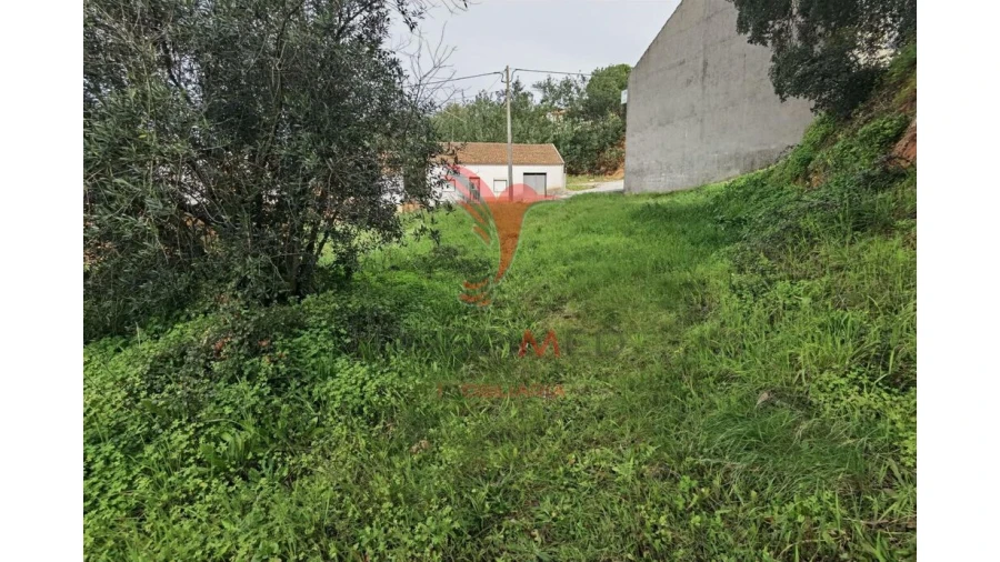 Terreno para Venda em Alcanena e Vila Moreira Foto 15