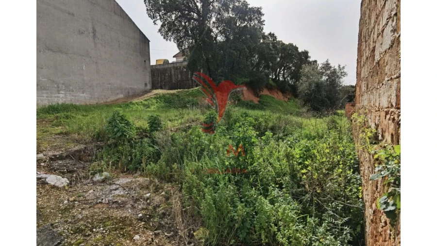 Terreno para Venda em Alcanena e Vila Moreira Foto 17