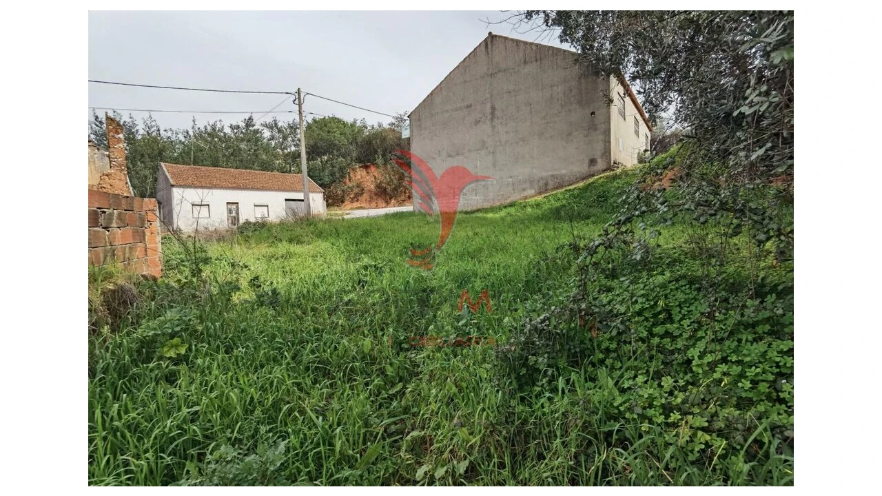 Terreno para Venda em Alcanena e Vila Moreira Foto 11