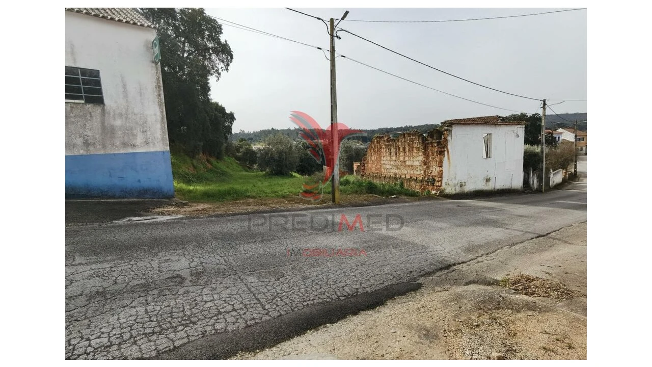 Terreno para Venda em Alcanena e Vila Moreira Foto 4